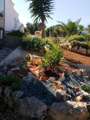 IMG_20180925_154438.jpg (253.15 KiB) 10863 mal betrachtet kleines Beet halbschattig