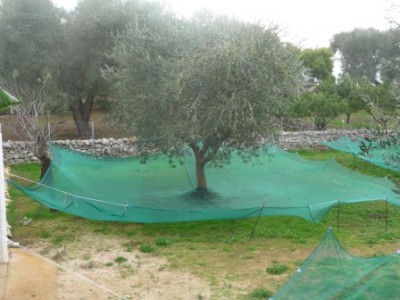 P1010634.JPG (105.28 KiB) 4941 mal betrachtet nicht alle haben Netze