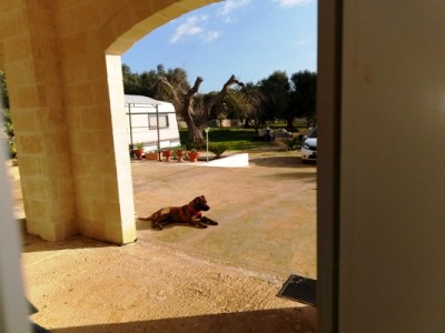 IMG_20181115_091252.jpg (80.75 KiB) 50124 mal betrachtet ganz relaxt