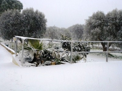 P1000039.JPG (119.79 KiB) 11455 mal betrachtet winter am pagliamonte 2