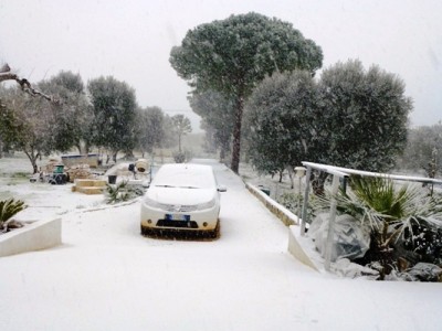 P1000040.JPG (127.87 KiB) 11455 mal betrachtet winter am pagliamonte 1